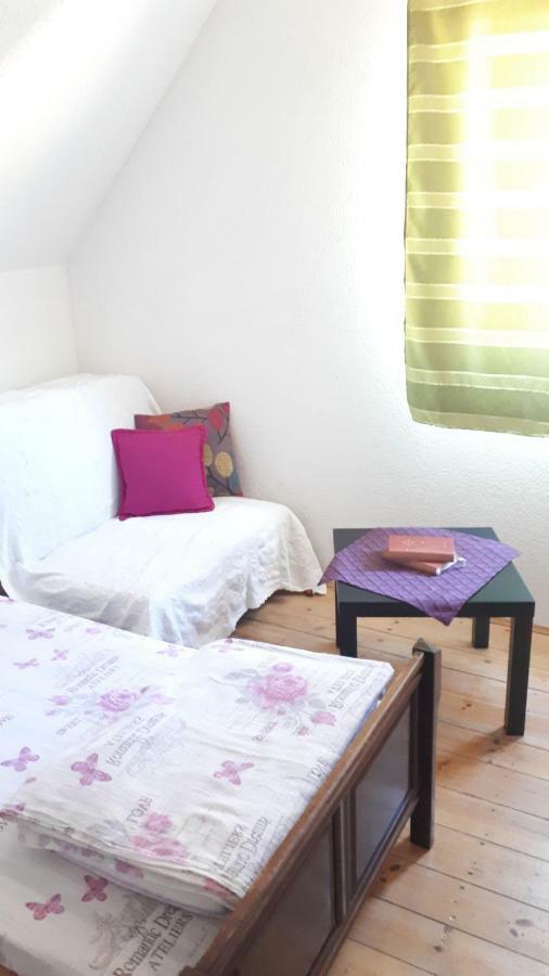 Golubovic Apartments Žabljak Rum bild